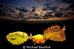 Autumn mood in the lake by Michael Baukloh 